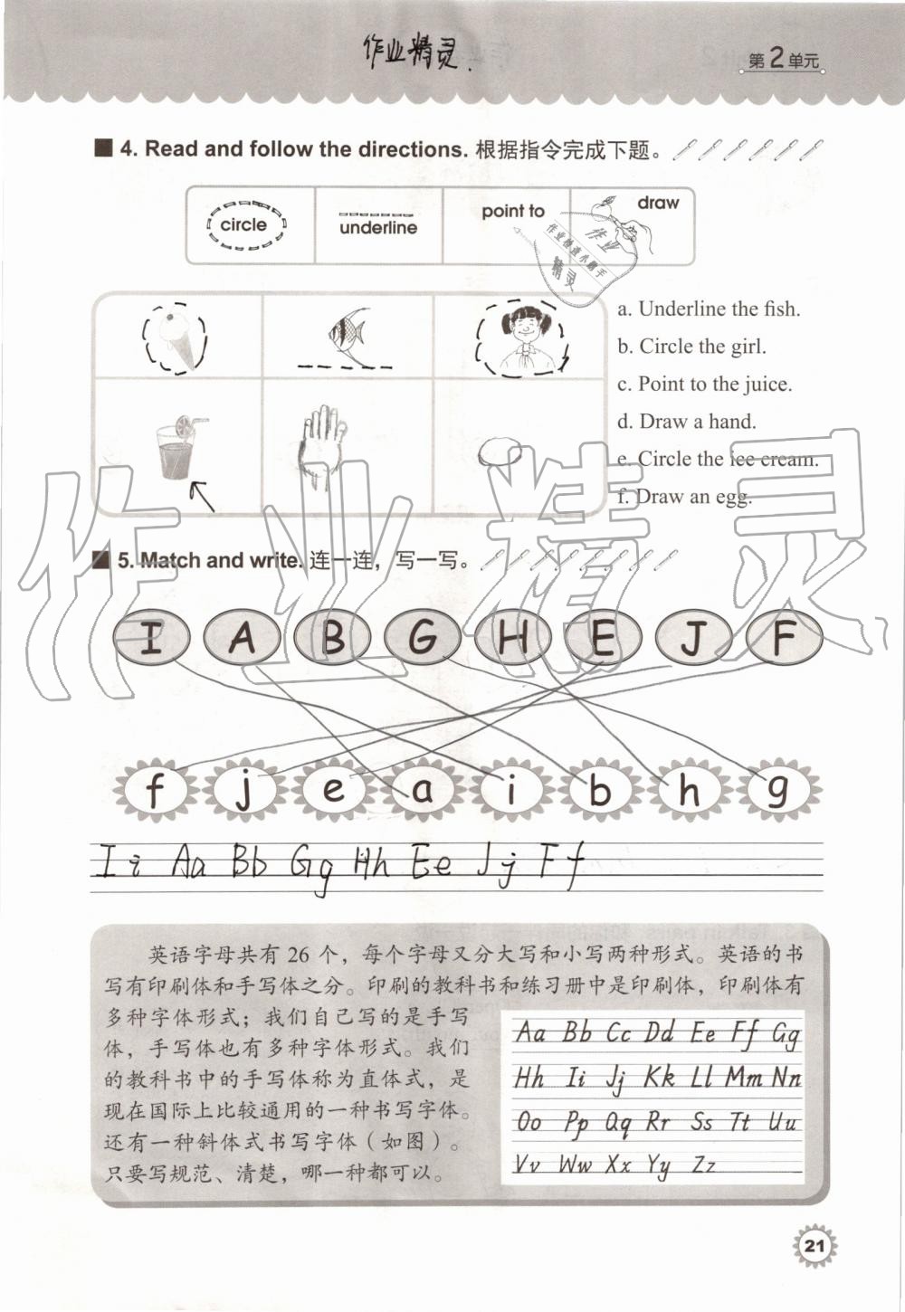 2019年同步練習冊三年級英語上冊冀教版三起河北教育出版社 第20頁