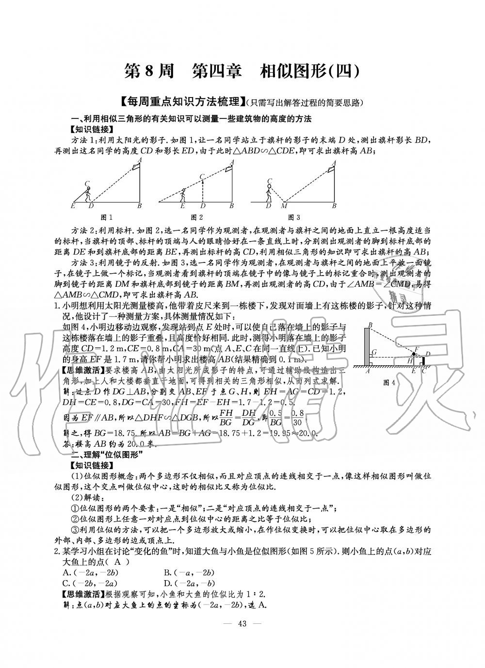 2019年初中數(shù)學(xué)每周過(guò)手最佳方案九年級(jí)全一冊(cè)北師大版 第43頁(yè)