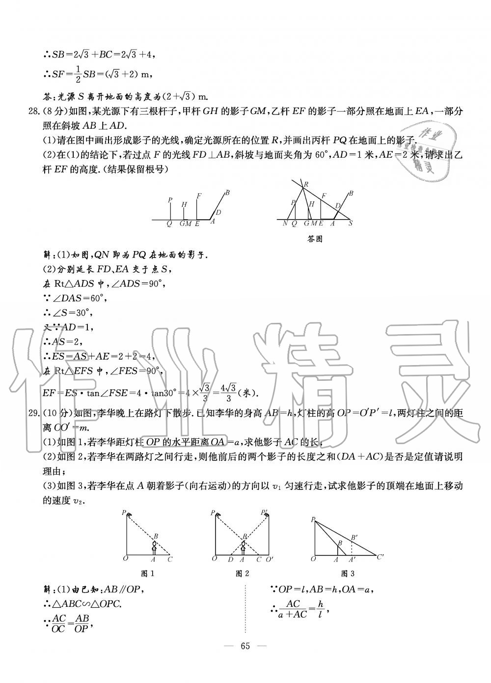 2019年初中數(shù)學(xué)每周過手最佳方案九年級全一冊北師大版 第202頁