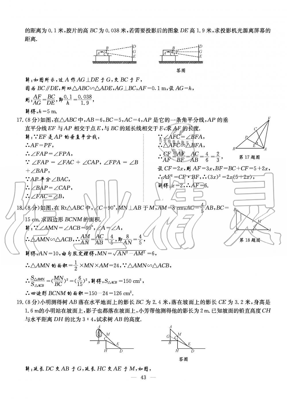 2019年初中數(shù)學(xué)每周過手最佳方案九年級全一冊北師大版 第180頁