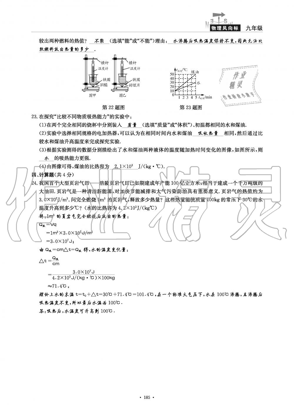 2019年物理風(fēng)向標(biāo)九年級全一冊教科版 第185頁