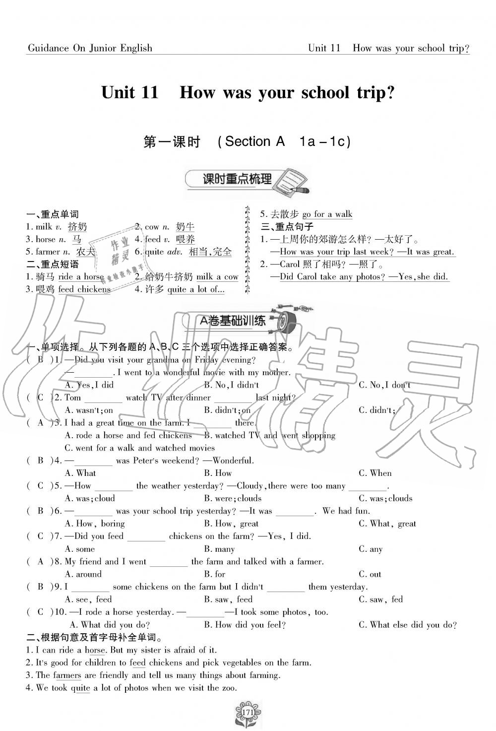 2019年英语风向标七年级下册人教版 第171页