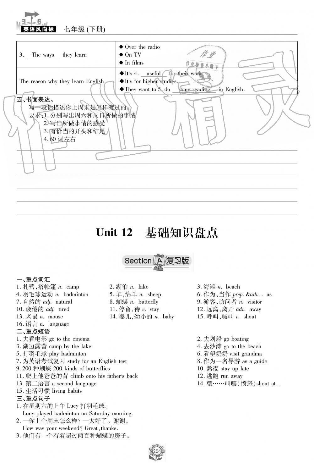 2019年英语风向标七年级下册人教版 第204页