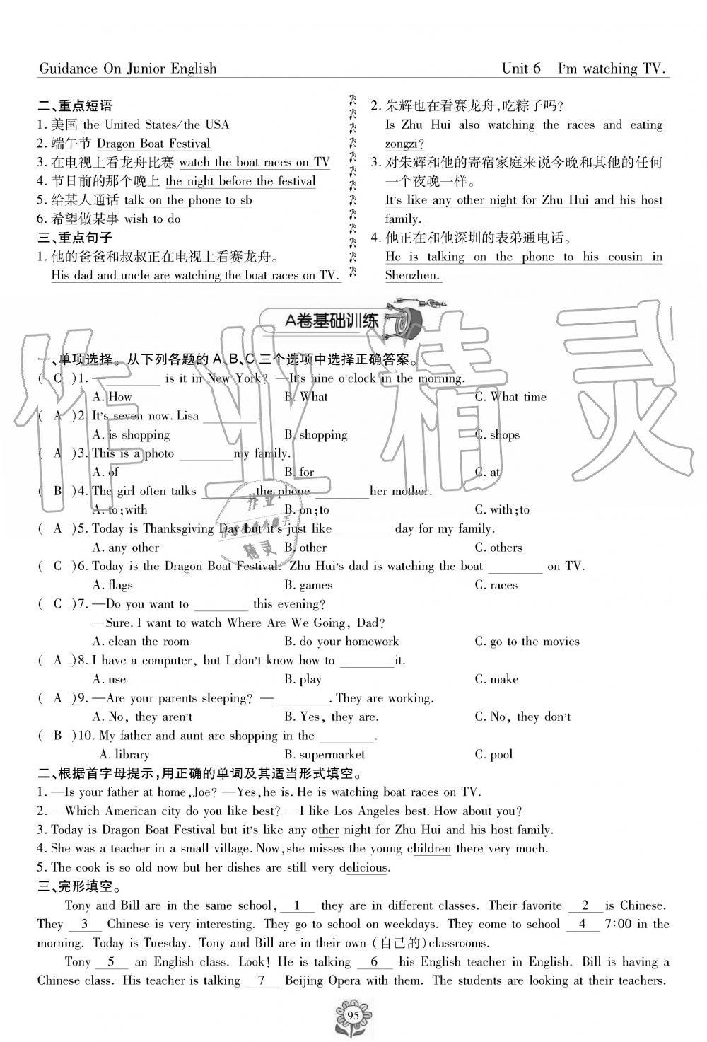 2019年英语风向标七年级下册人教版 第95页