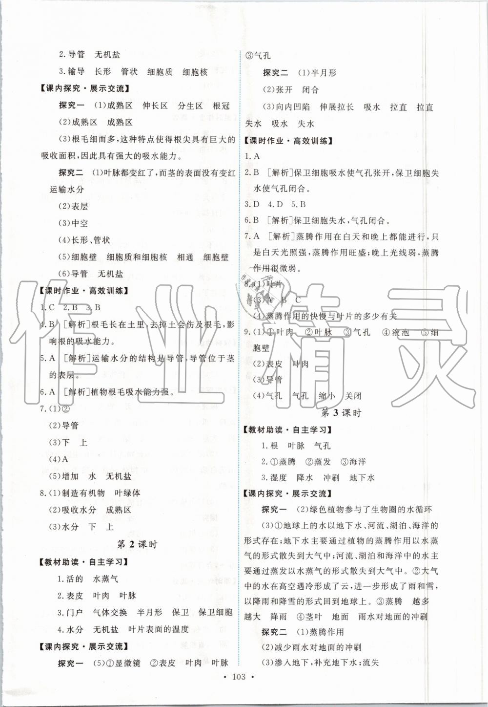 2019年能力培養(yǎng)與測(cè)試七年級(jí)生物學(xué)上冊(cè)人教版 第13頁(yè)