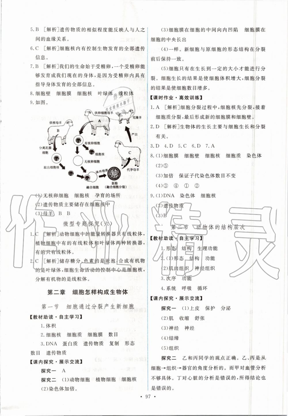 2019年能力培養(yǎng)與測試七年級生物學(xué)上冊人教版 第7頁