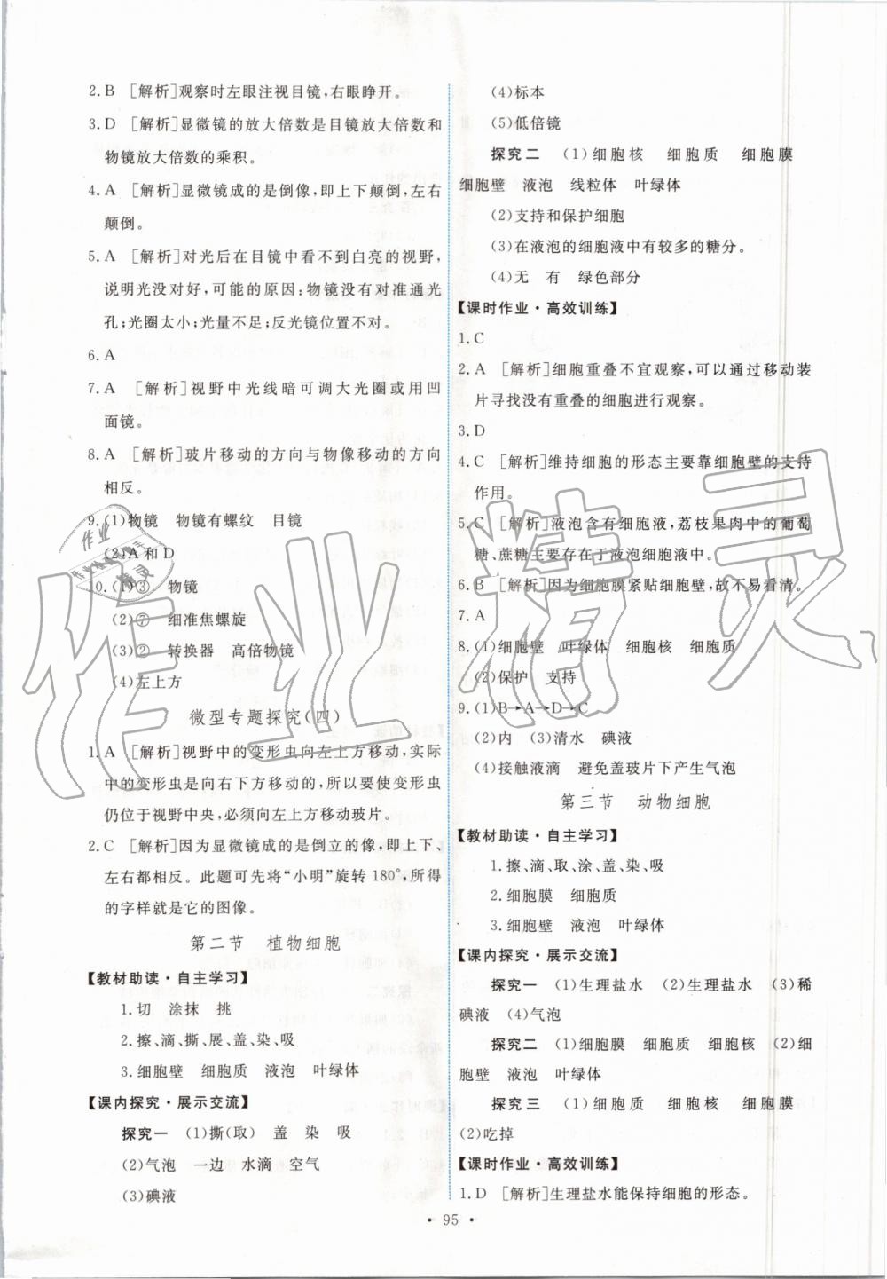 2019年能力培養(yǎng)與測(cè)試七年級(jí)生物學(xué)上冊(cè)人教版 第5頁(yè)