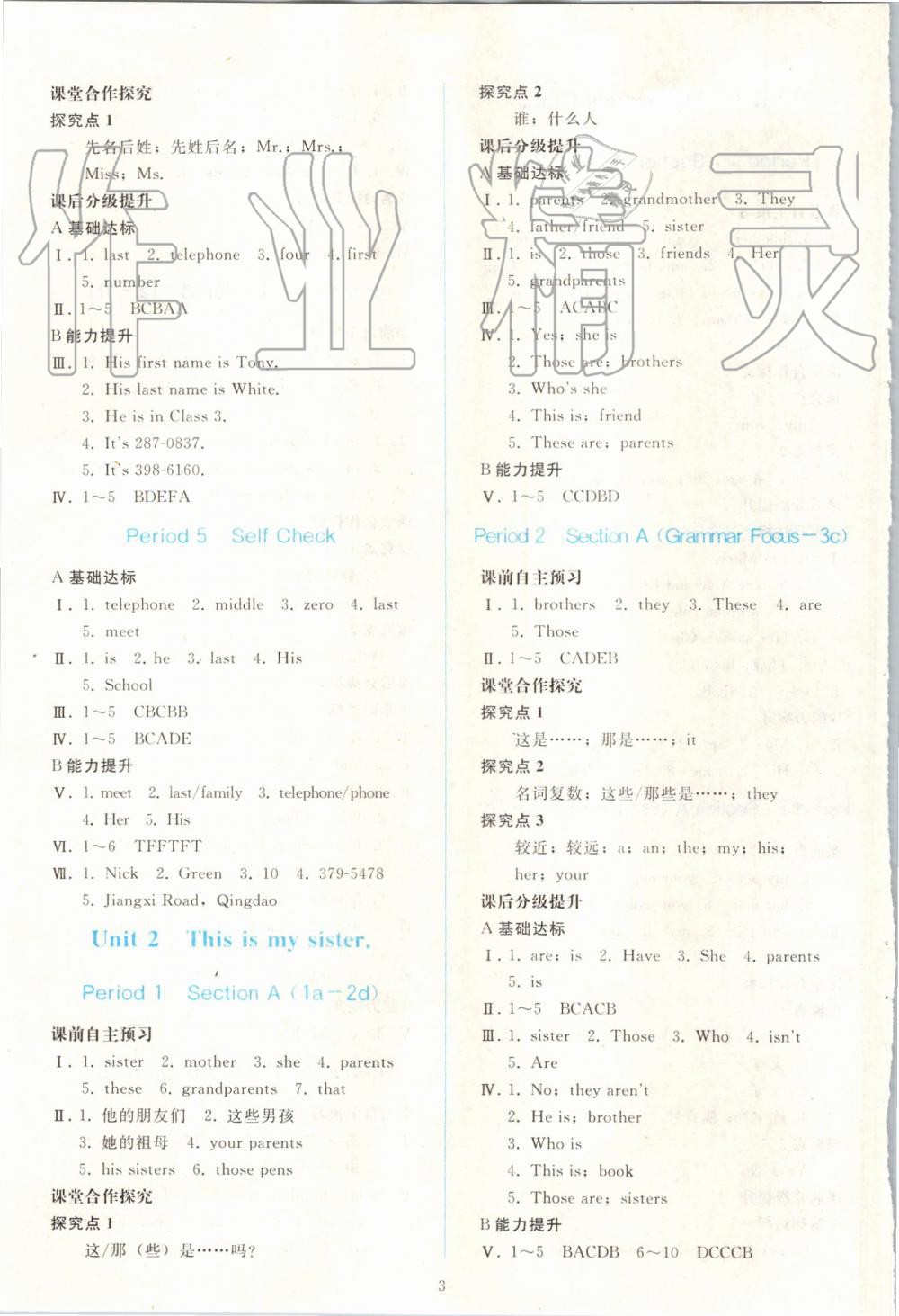 2019年同步轻松练习七年级英语上册人教版 第3页