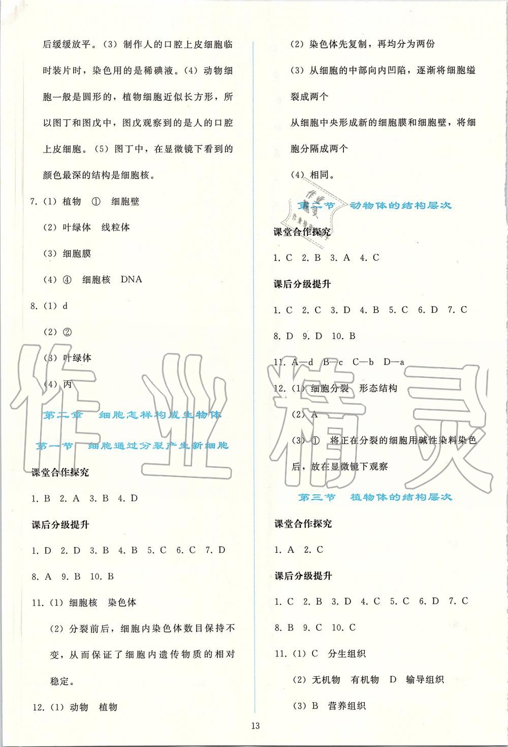 2019年同步轻松练习七年级生物学上册人教版 第13页