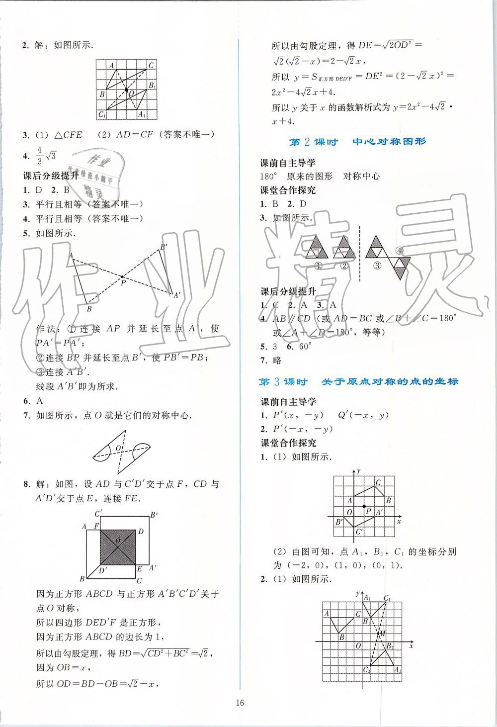 2019年同步轻松练习九年级数学上册人教版 第16页