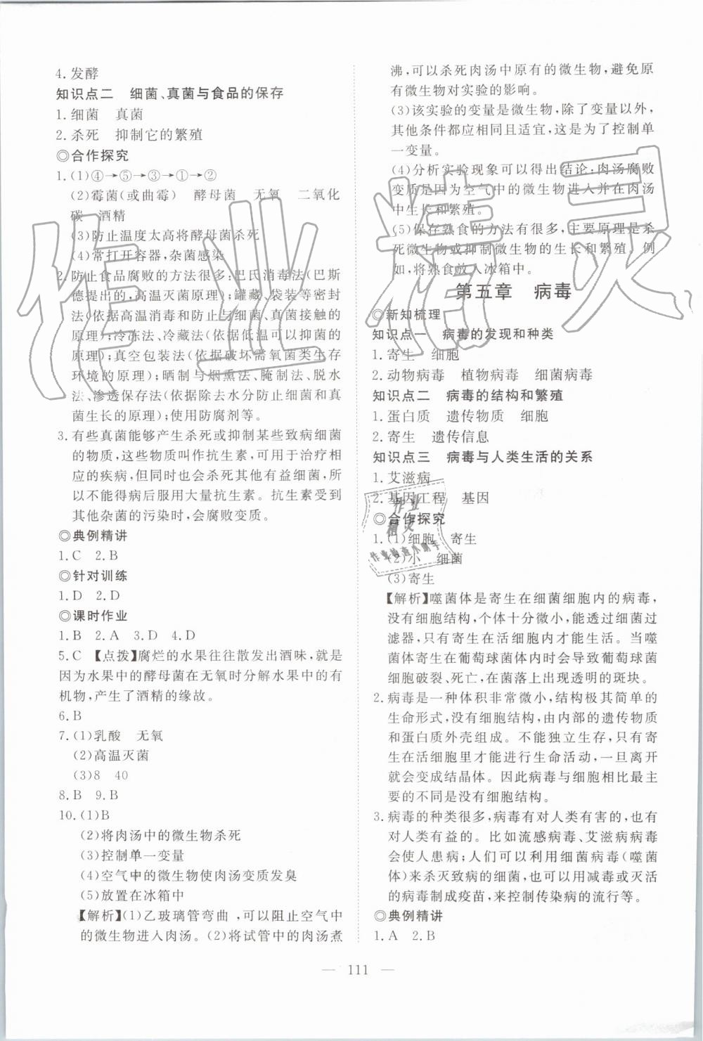 2019年351高效課堂導(dǎo)學(xué)案八年級(jí)生物上冊(cè)人教版 第11頁