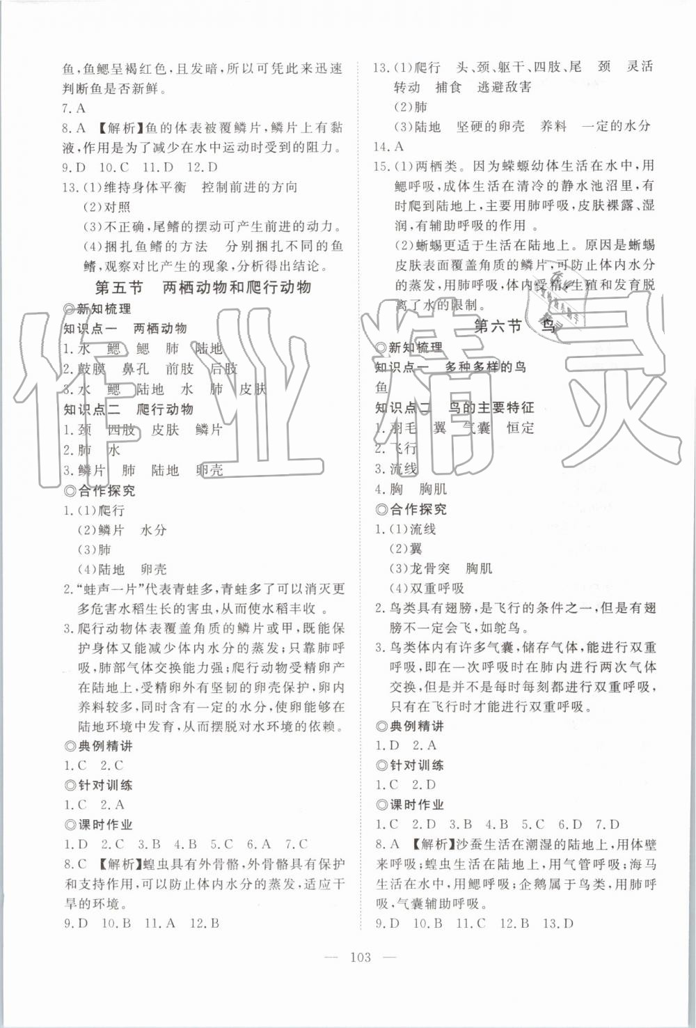 2019年351高效課堂導(dǎo)學(xué)案八年級生物上冊人教版 第3頁