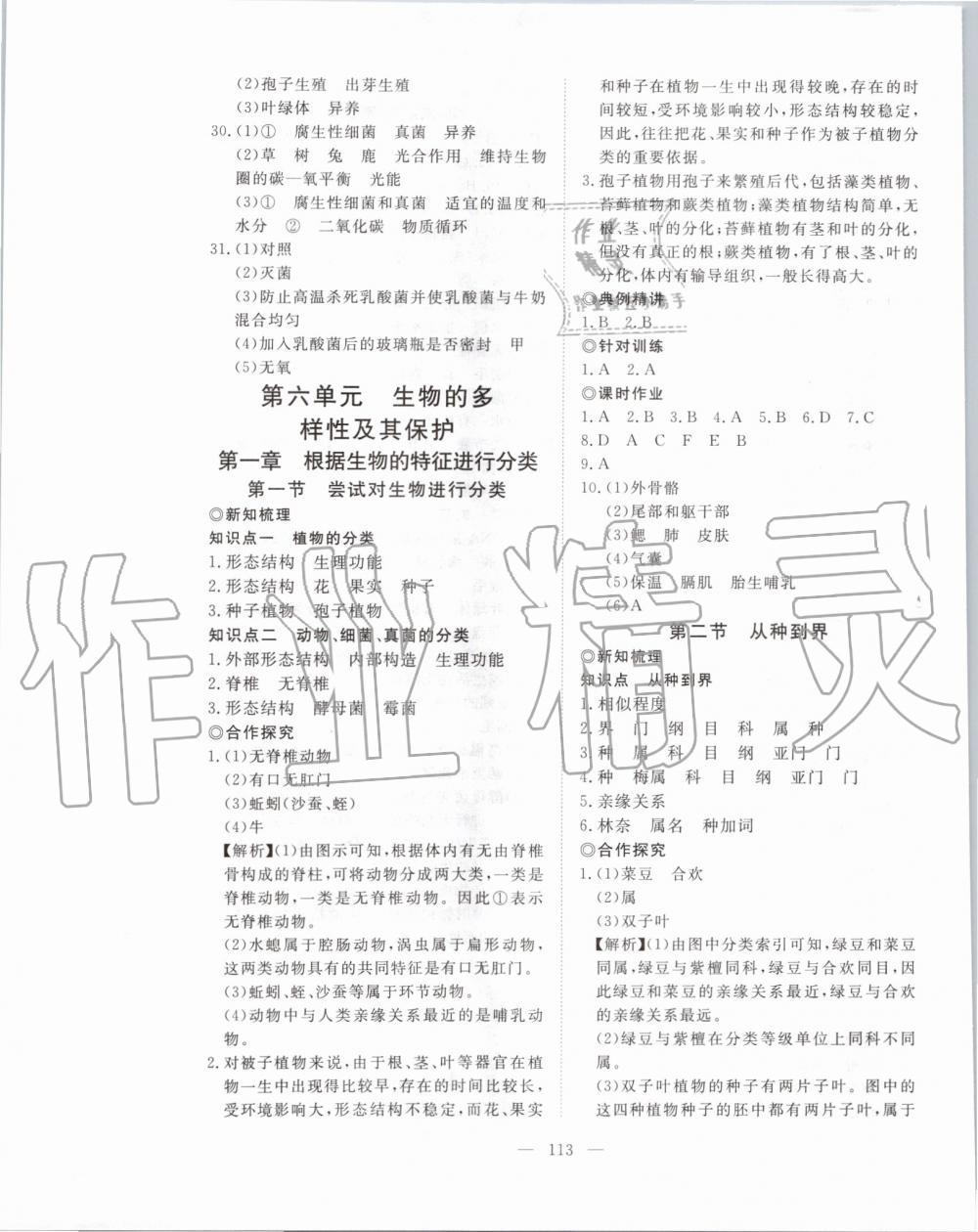 2019年351高效課堂導(dǎo)學(xué)案八年級生物上冊人教版 第13頁