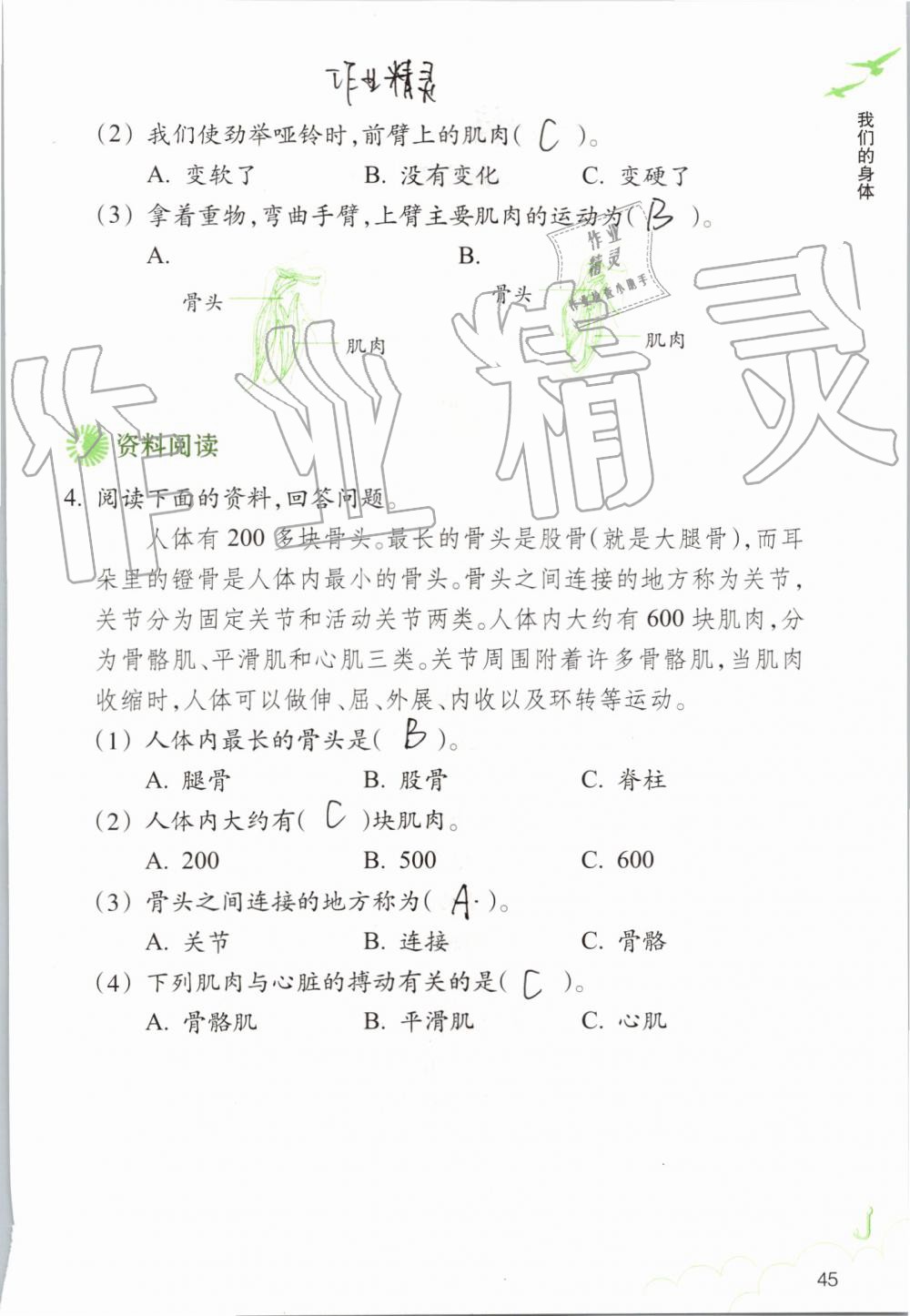 2019年科学作业本四年级上册教科版浙江教育出版社 第45页