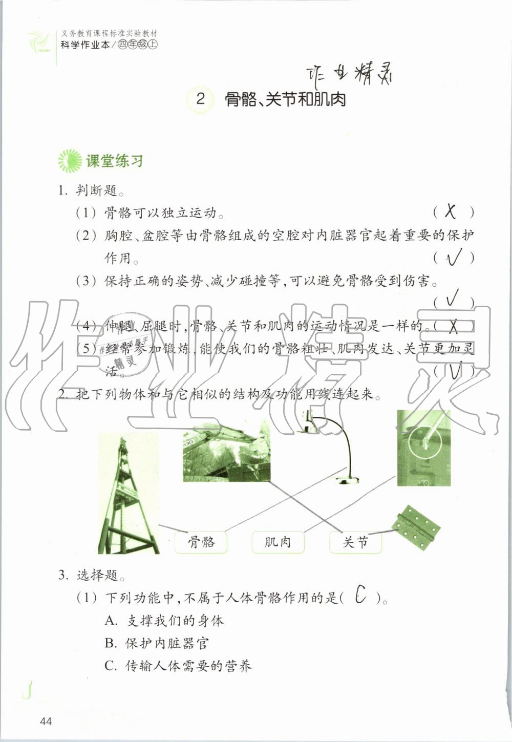 2019年科學(xué)作業(yè)本四年級(jí)上冊(cè)教科版浙江教育出版社 第44頁(yè)