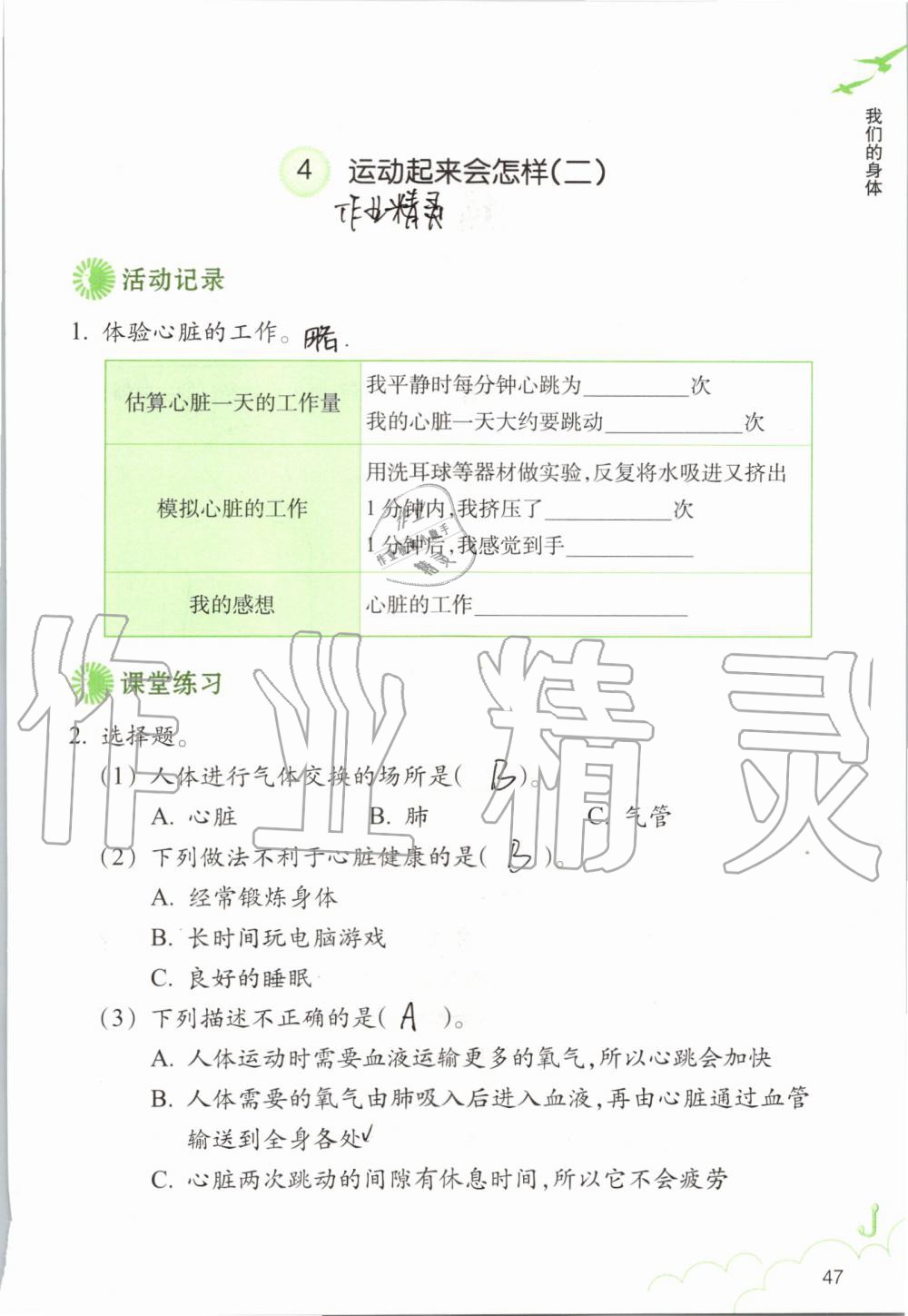 2019年科学作业本四年级上册教科版浙江教育出版社 第47页