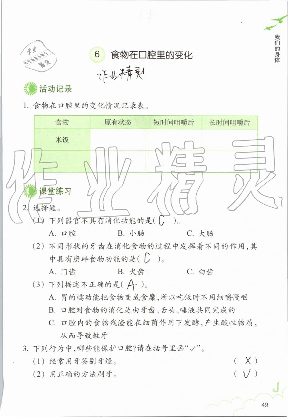 2019年科學(xué)作業(yè)本四年級(jí)上冊(cè)教科版浙江教育出版社 第49頁(yè)