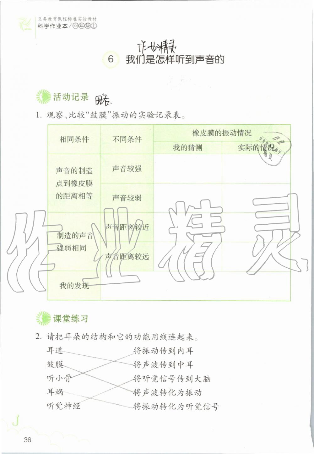 2019年科学作业本四年级上册教科版浙江教育出版社 第36页