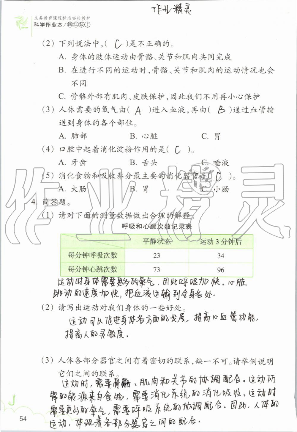 2019年科學(xué)作業(yè)本四年級上冊教科版浙江教育出版社 第54頁