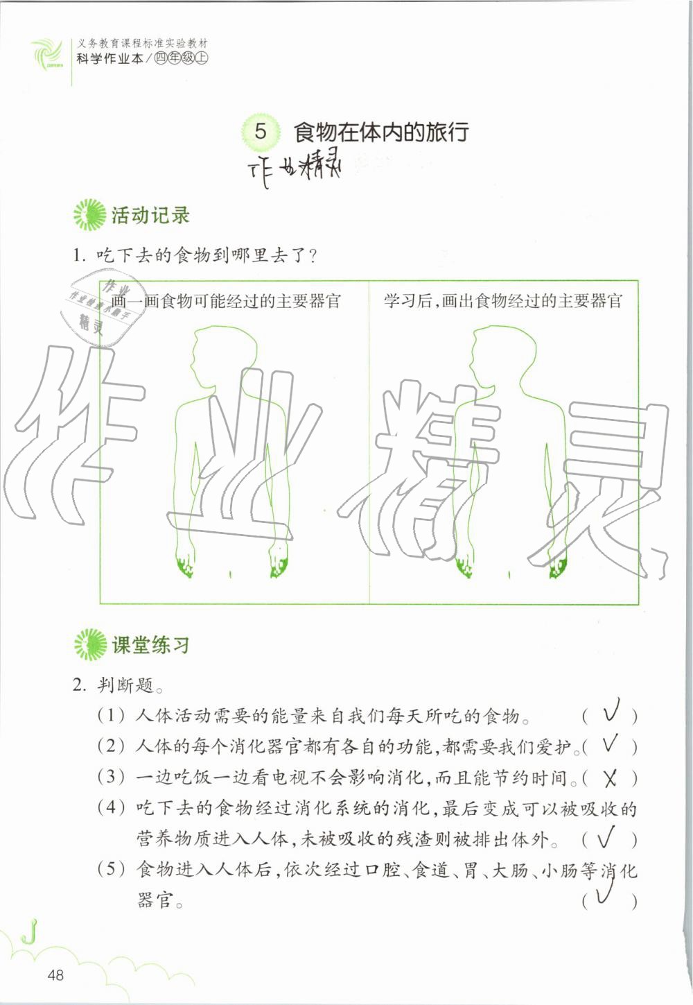 2019年科学作业本四年级上册教科版浙江教育出版社 第48页