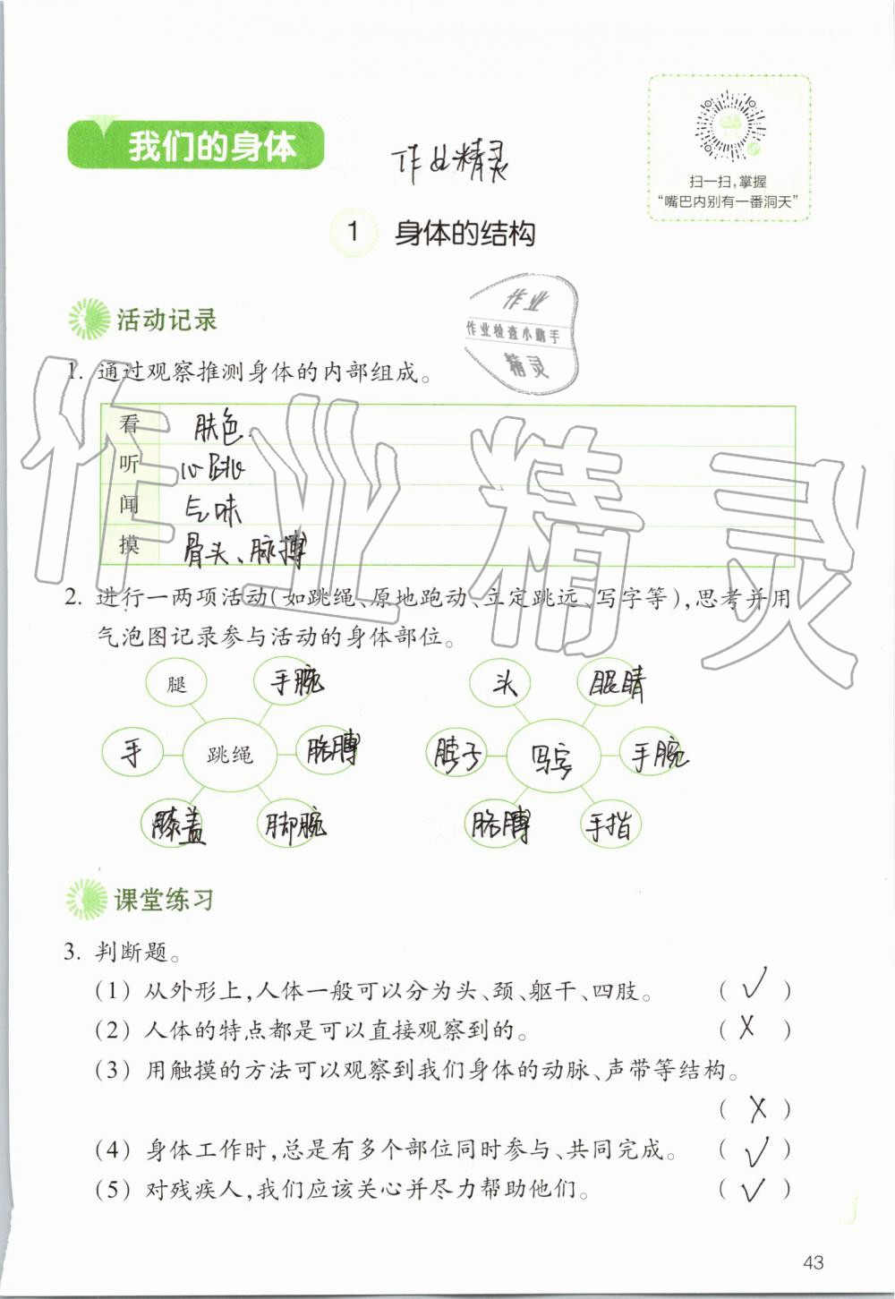 2019年科学作业本四年级上册教科版浙江教育出版社 第43页