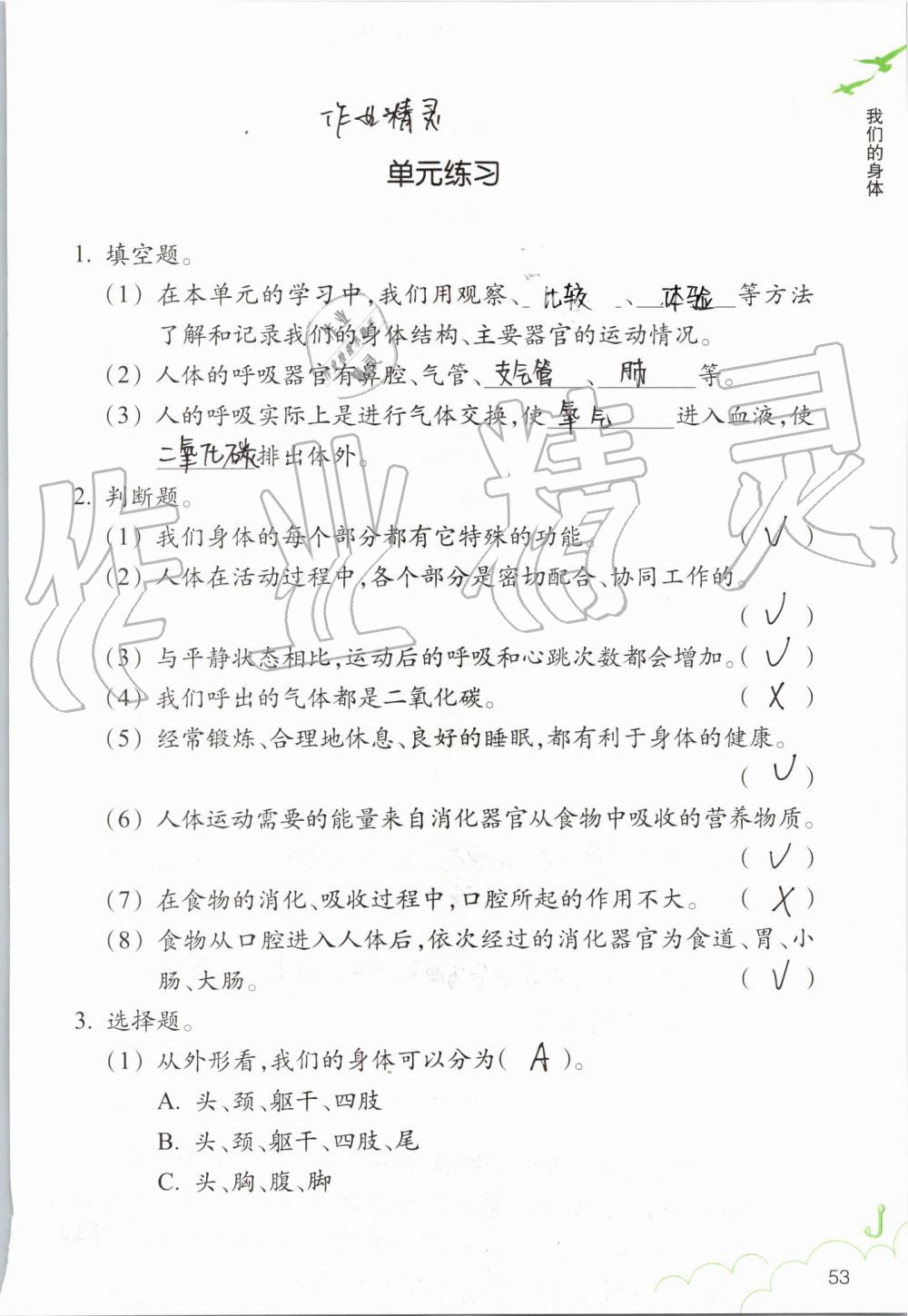 2019年科学作业本四年级上册教科版浙江教育出版社 第53页