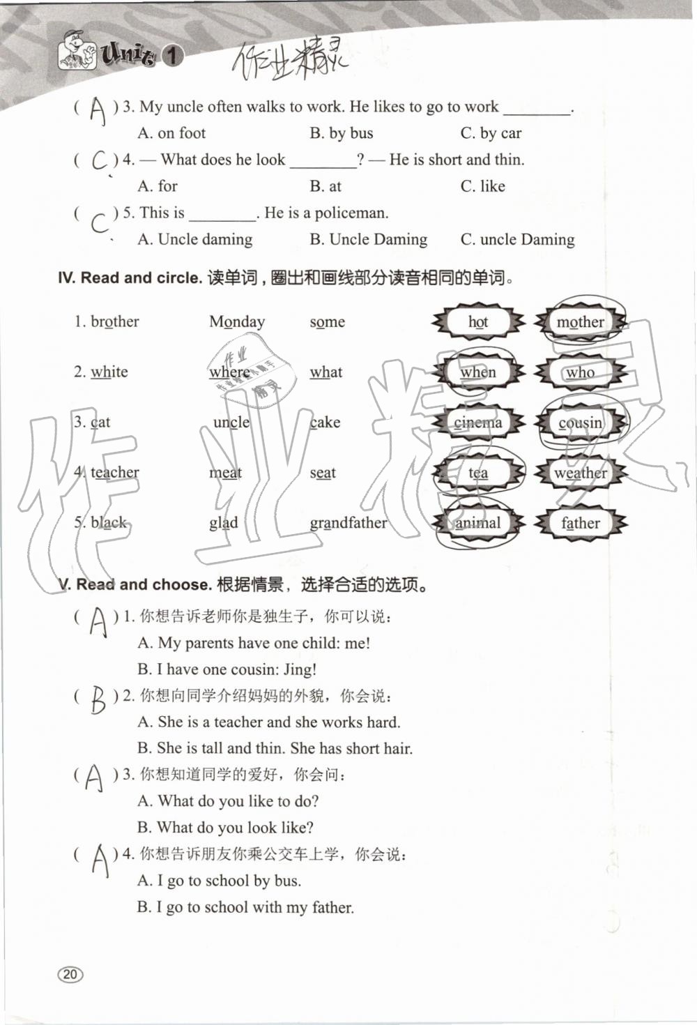 2019年基本功訓(xùn)練五年級英語上冊冀教版三起 第20頁