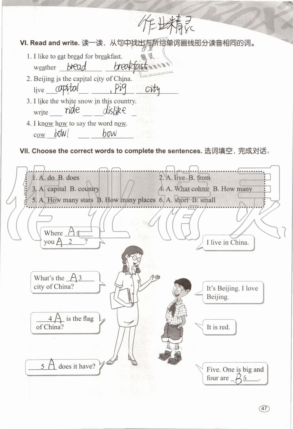 2019年基本功训练五年级英语上册冀教版三起 第47页