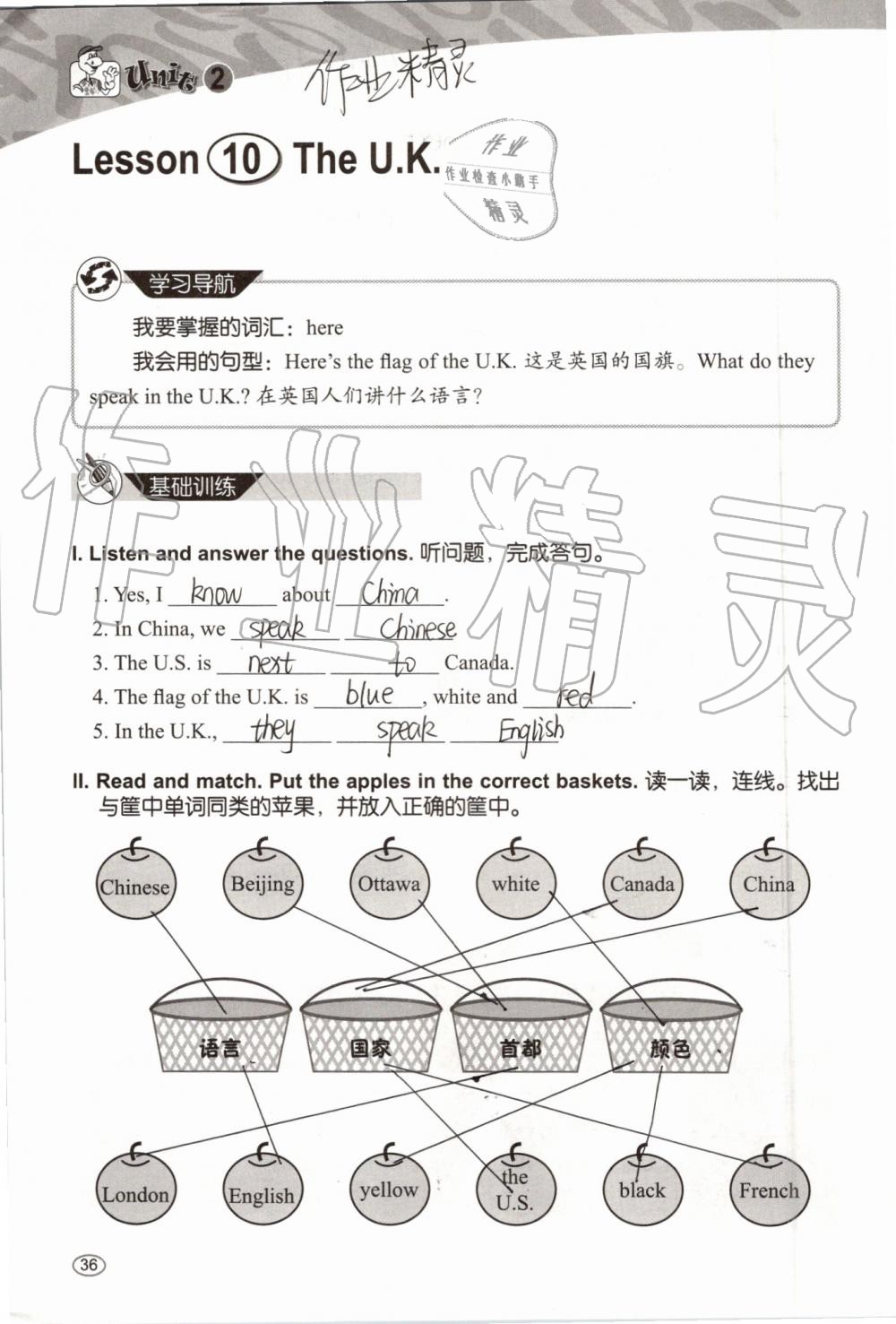 2019年基本功训练五年级英语上册冀教版三起 第36页