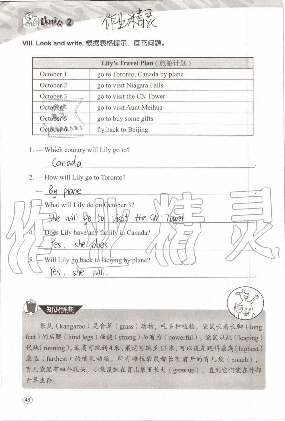 2019年基本功训练五年级英语上册冀教版三起 第48页