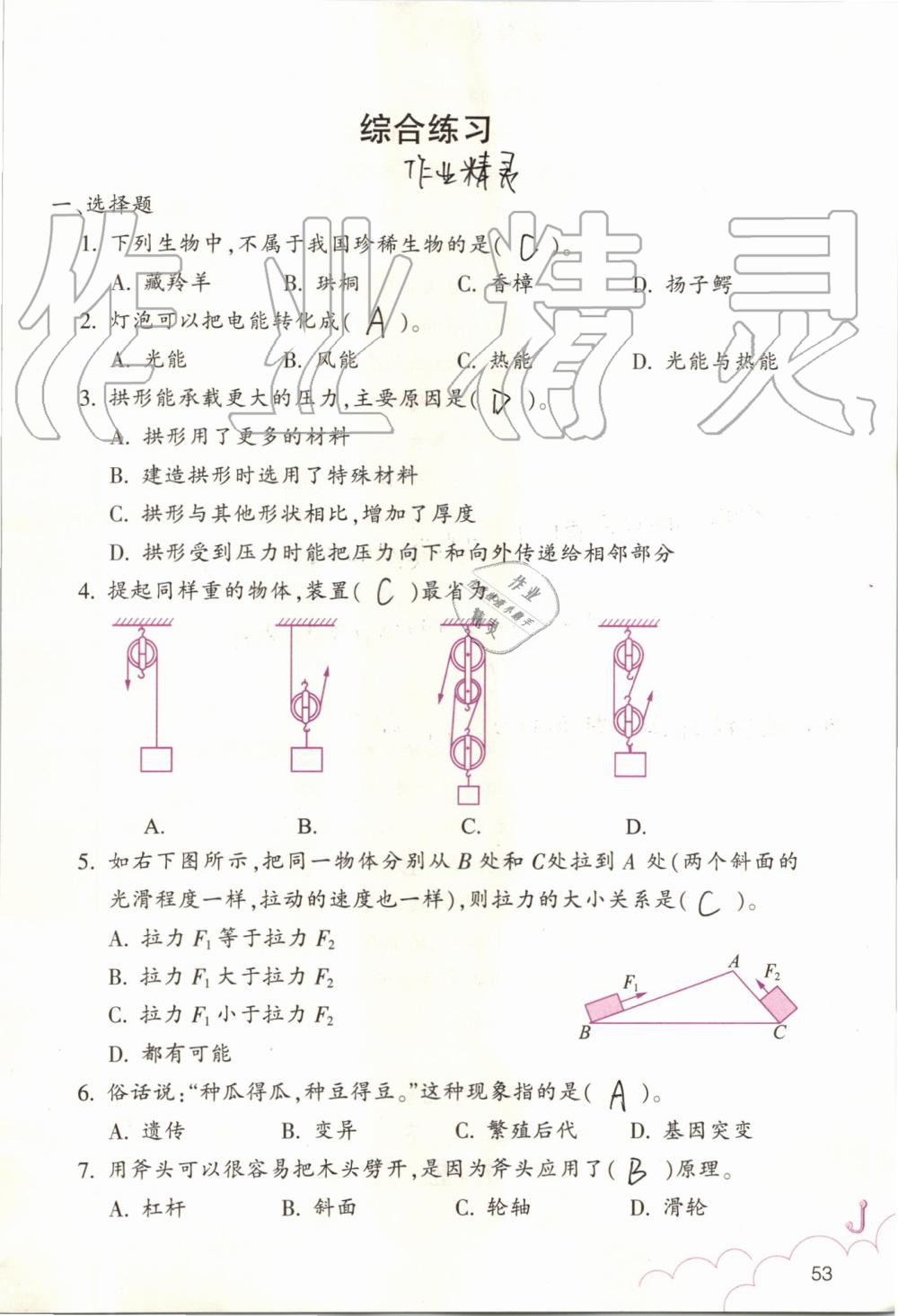 2019年科學作業(yè)本六年級上冊教科版浙江教育出版社 第53頁