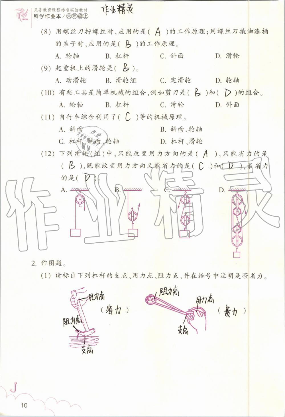 2019年科學(xué)作業(yè)本六年級上冊教科版浙江教育出版社 第10頁