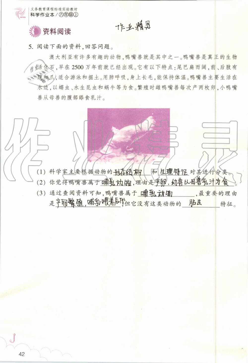 2019年科學(xué)作業(yè)本六年級上冊教科版浙江教育出版社 第42頁