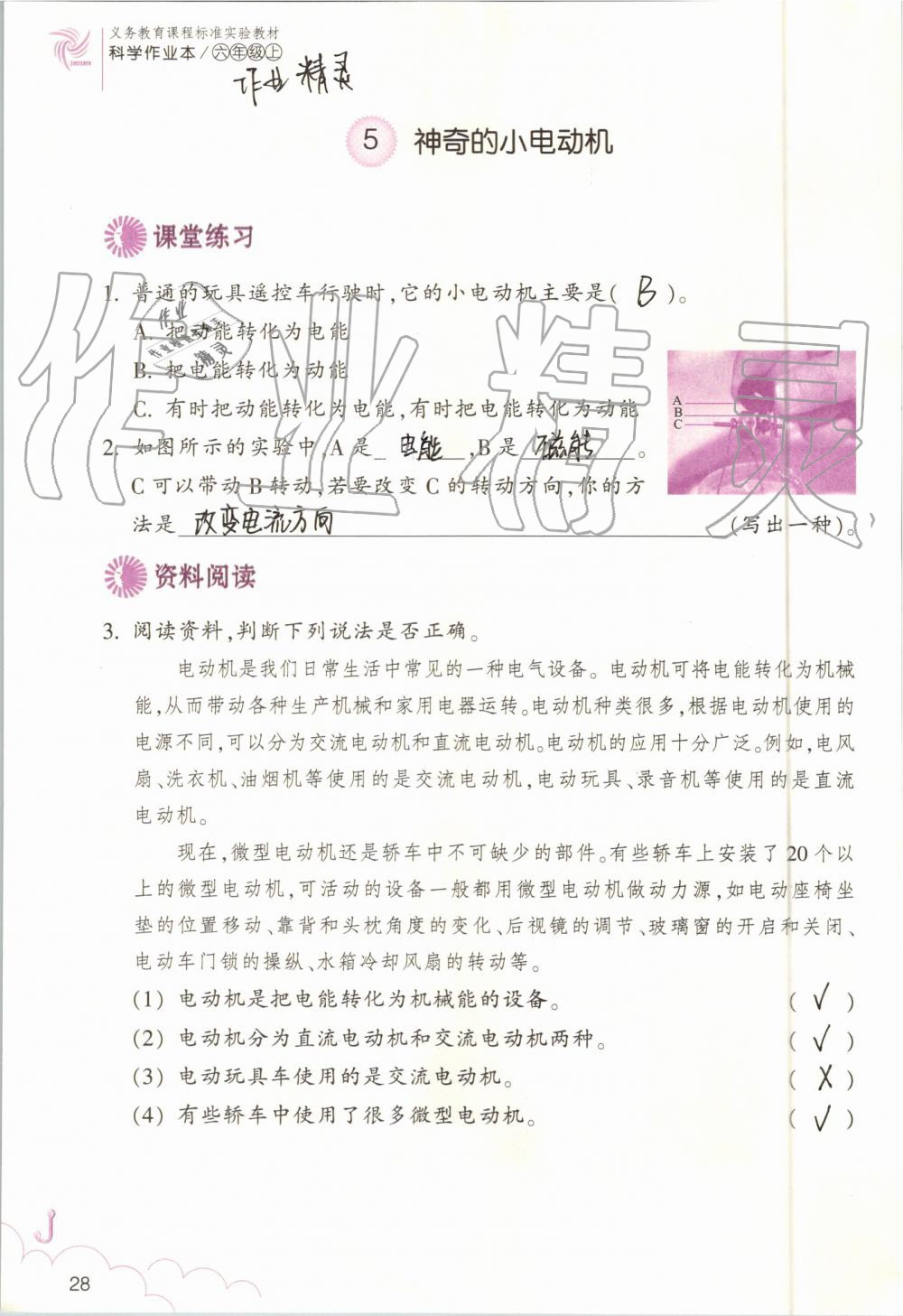 2019年科學(xué)作業(yè)本六年級(jí)上冊(cè)教科版浙江教育出版社 第28頁