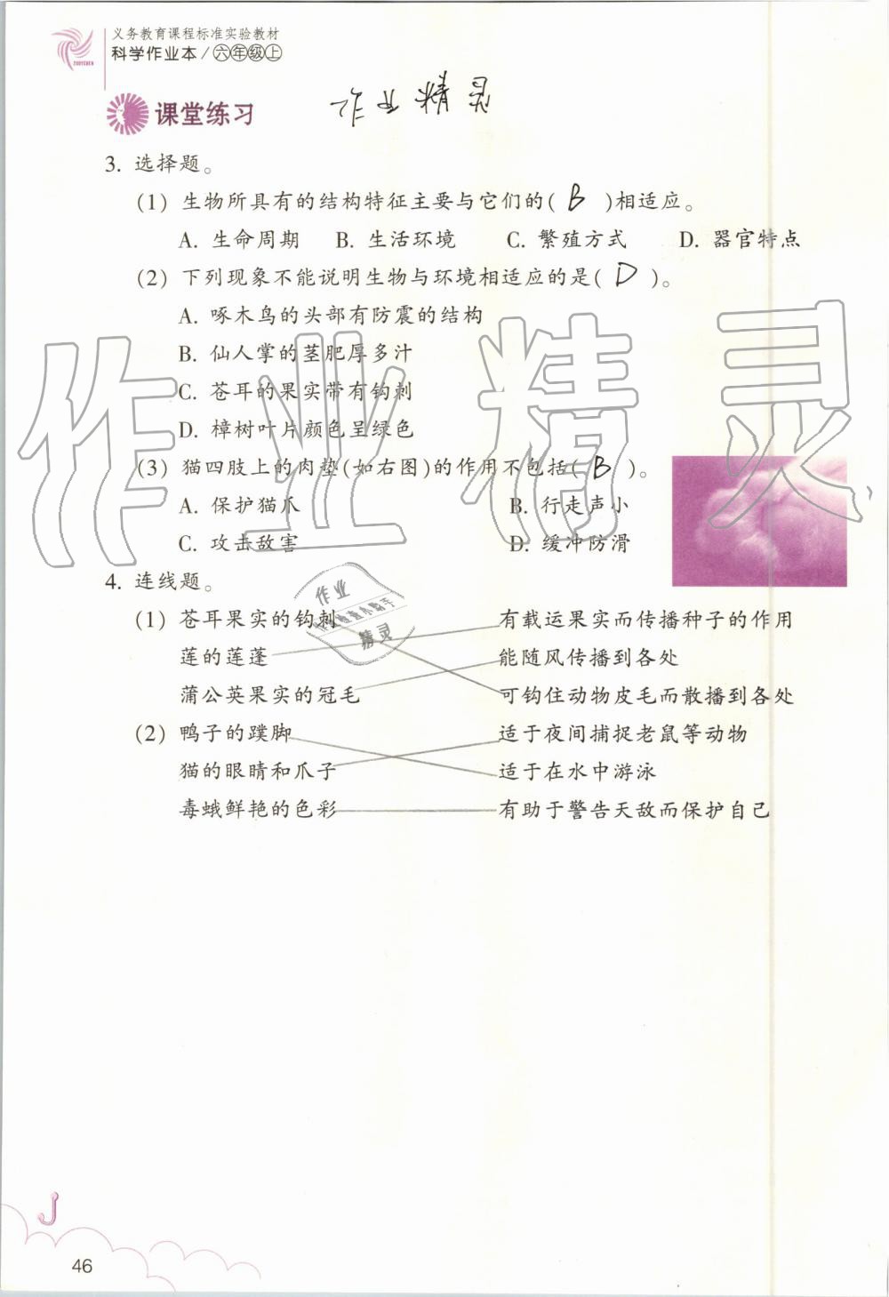 2019年科學(xué)作業(yè)本六年級(jí)上冊(cè)教科版浙江教育出版社 第46頁