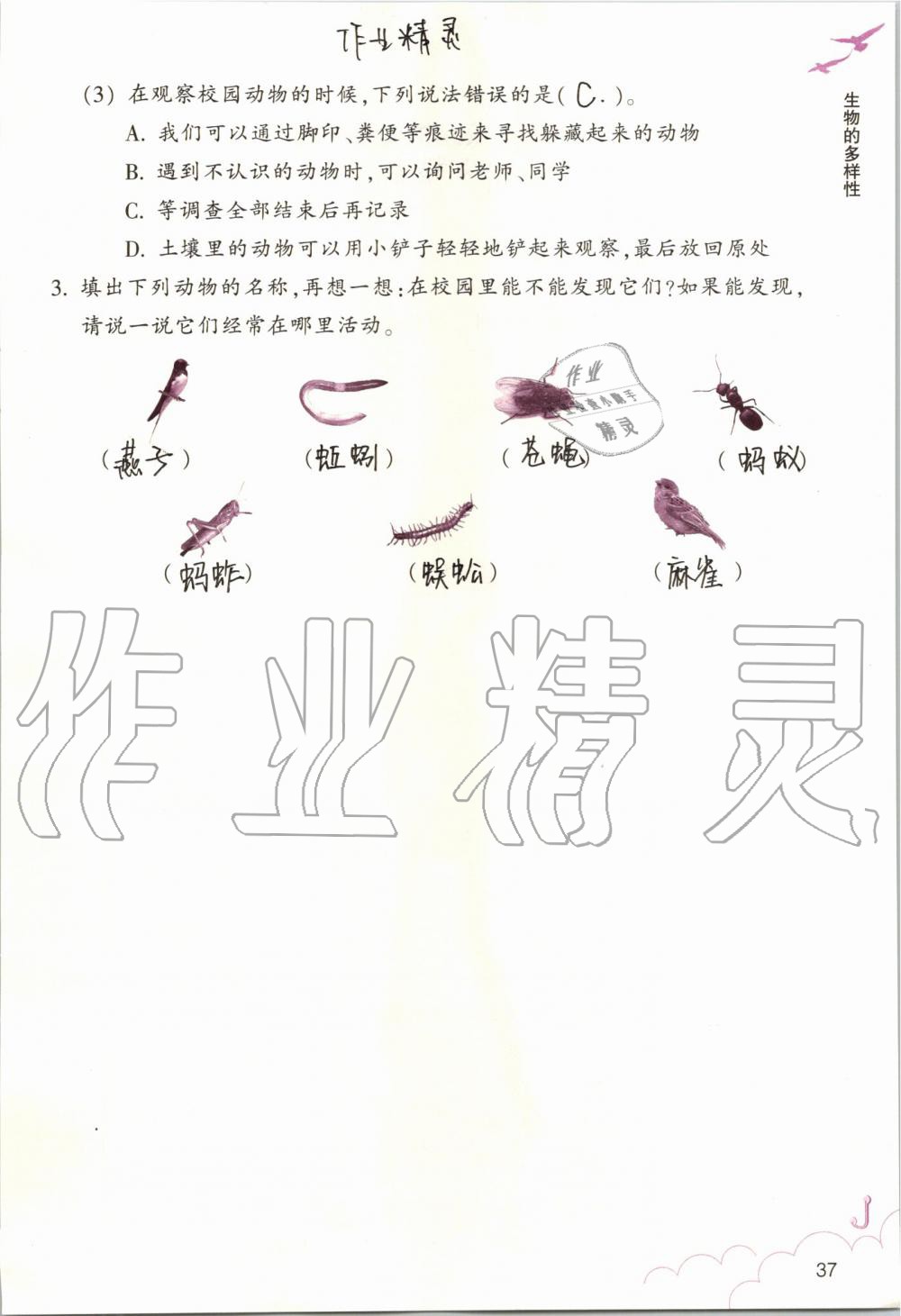 2019年科學(xué)作業(yè)本六年級上冊教科版浙江教育出版社 第37頁