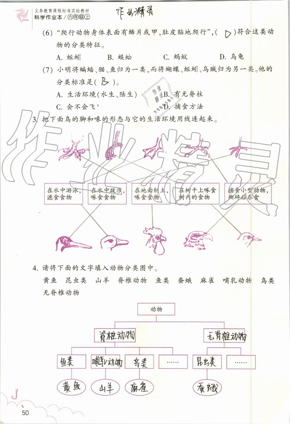 2019年科學(xué)作業(yè)本六年級上冊教科版浙江教育出版社 第50頁