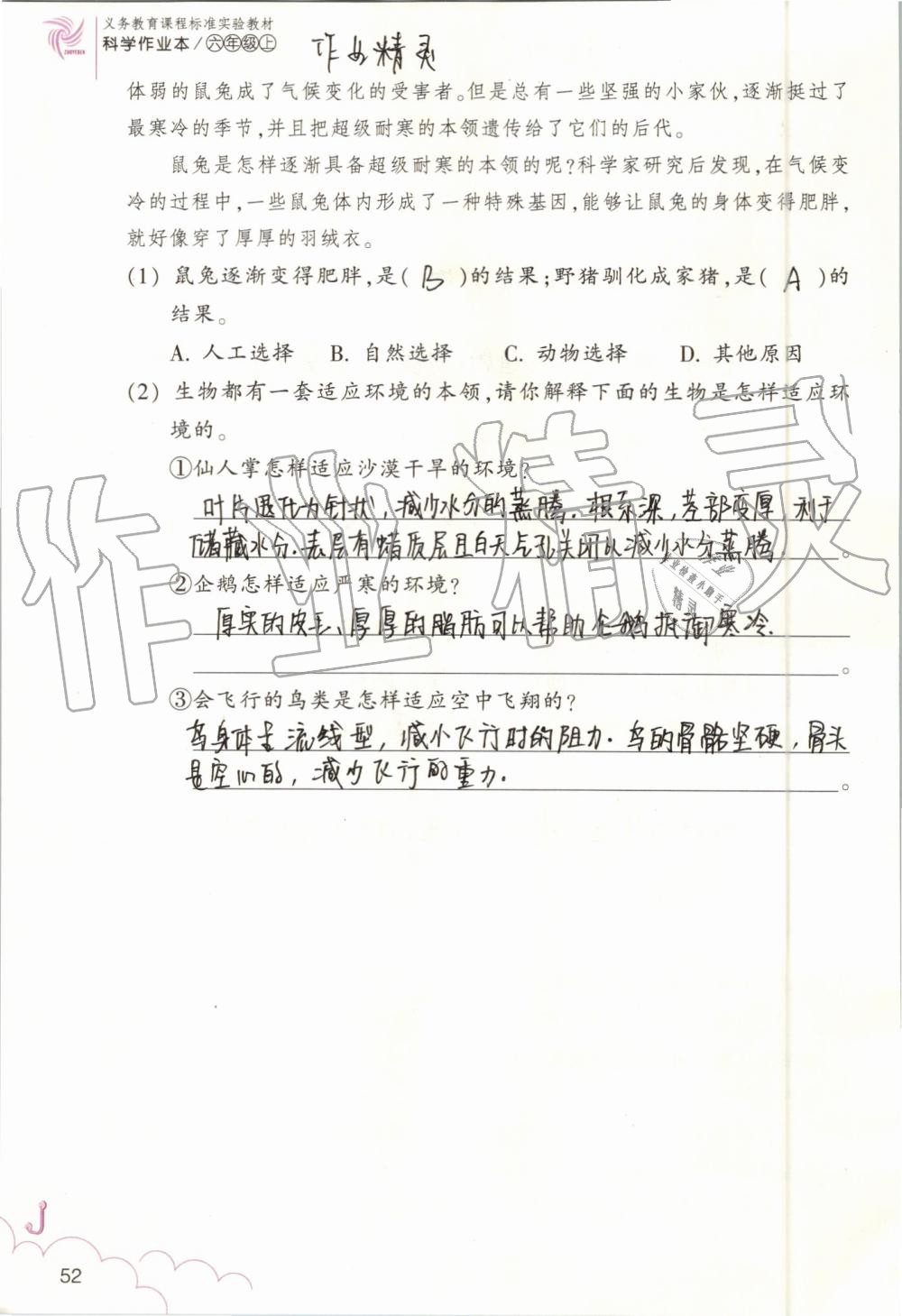 2019年科學(xué)作業(yè)本六年級上冊教科版浙江教育出版社 第52頁