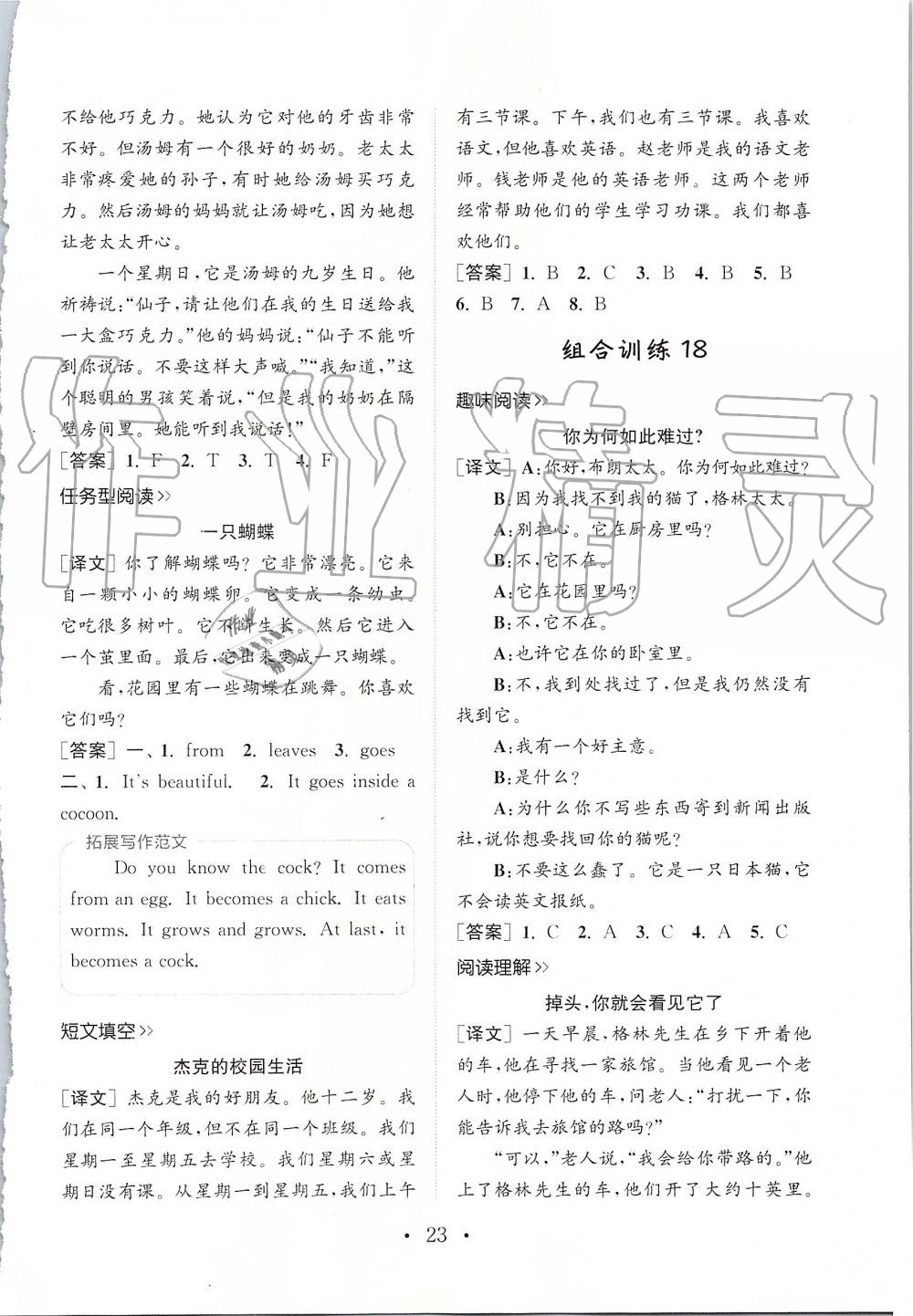 2019年通城學(xué)典小學(xué)英語(yǔ)閱讀組合訓(xùn)練四年級(jí)上冊(cè)人教版 第22頁(yè)