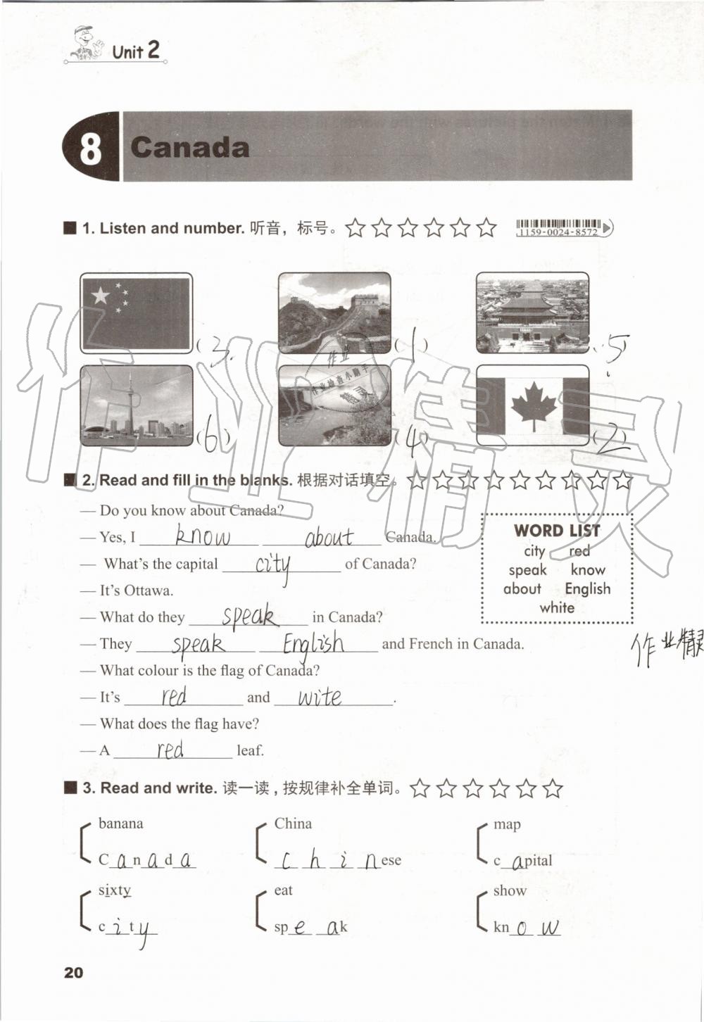 2019年同步練習冊五年級英語上冊冀教版三起河北教育出版社 第19頁