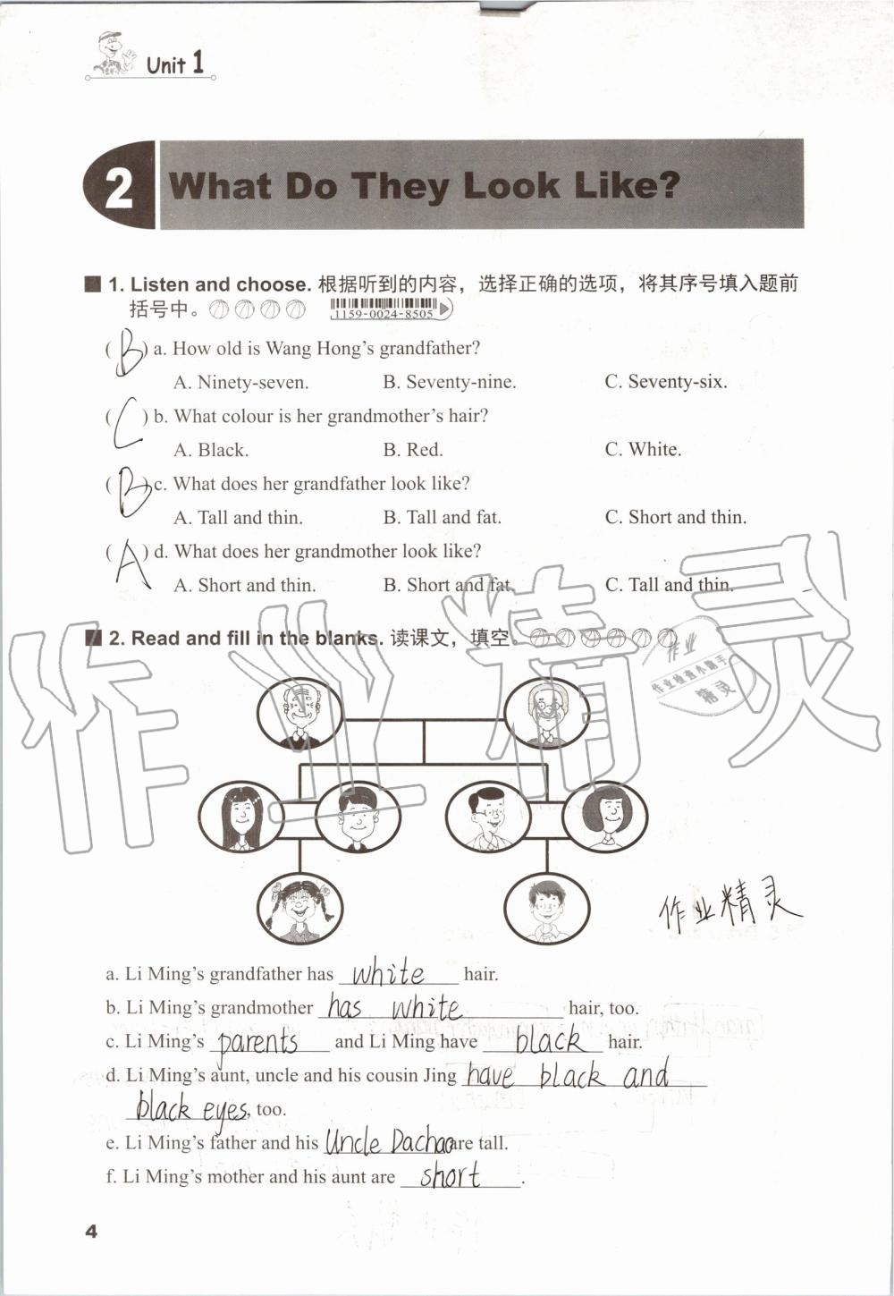 2019年同步練習(xí)冊(cè)五年級(jí)英語(yǔ)上冊(cè)冀教版三起河北教育出版社 第3頁(yè)