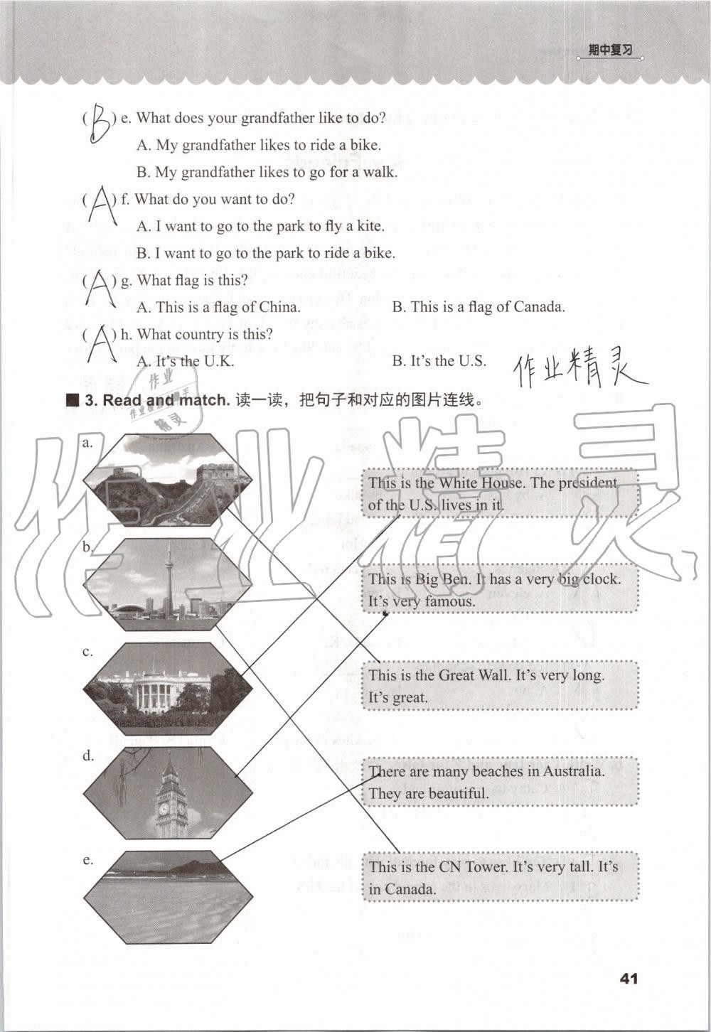 2019年同步練習(xí)冊五年級英語上冊冀教版三起河北教育出版社 第40頁