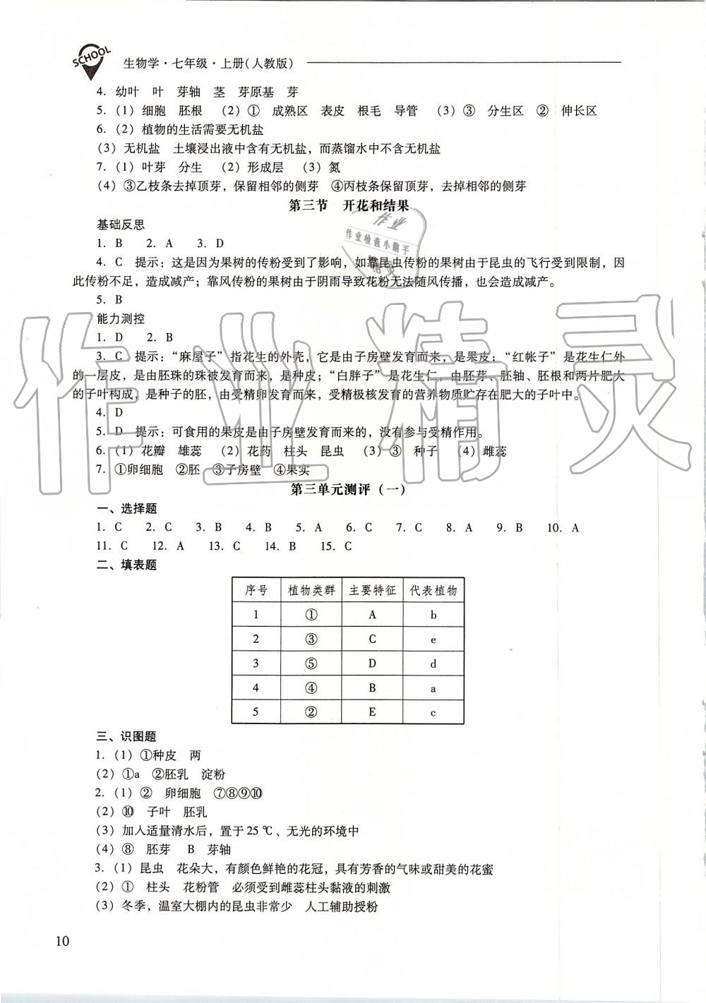 2019年新課程問題解決導(dǎo)學(xué)方案七年級生物學(xué)上冊人教版 第10頁