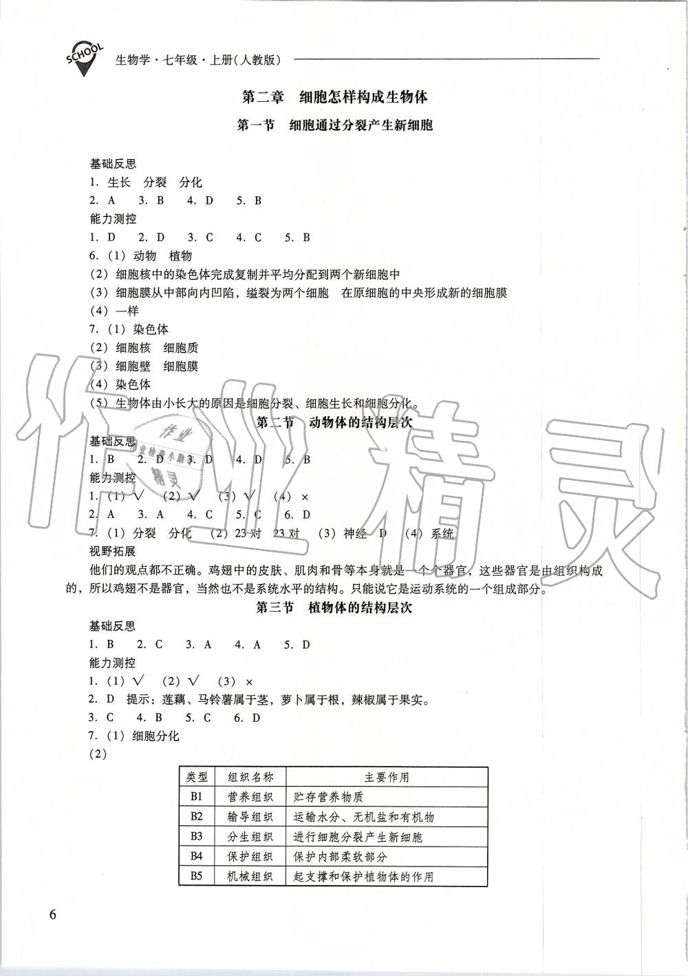 2019年新課程問(wèn)題解決導(dǎo)學(xué)方案七年級(jí)生物學(xué)上冊(cè)人教版 第6頁(yè)