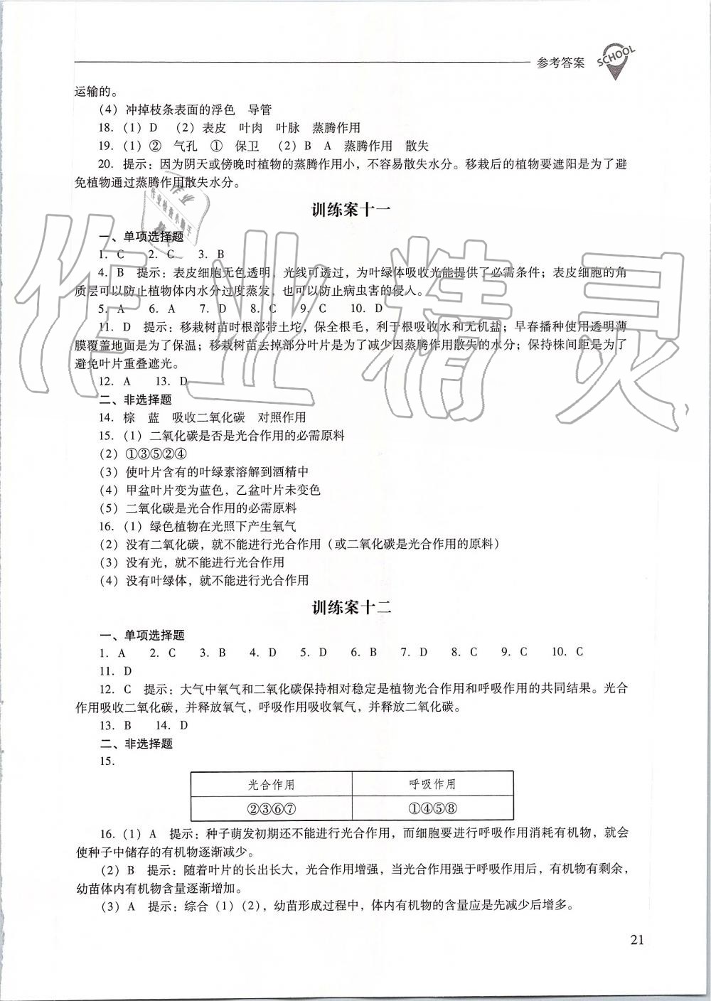 2019年新課程問(wèn)題解決導(dǎo)學(xué)方案七年級(jí)生物學(xué)上冊(cè)人教版 第21頁(yè)