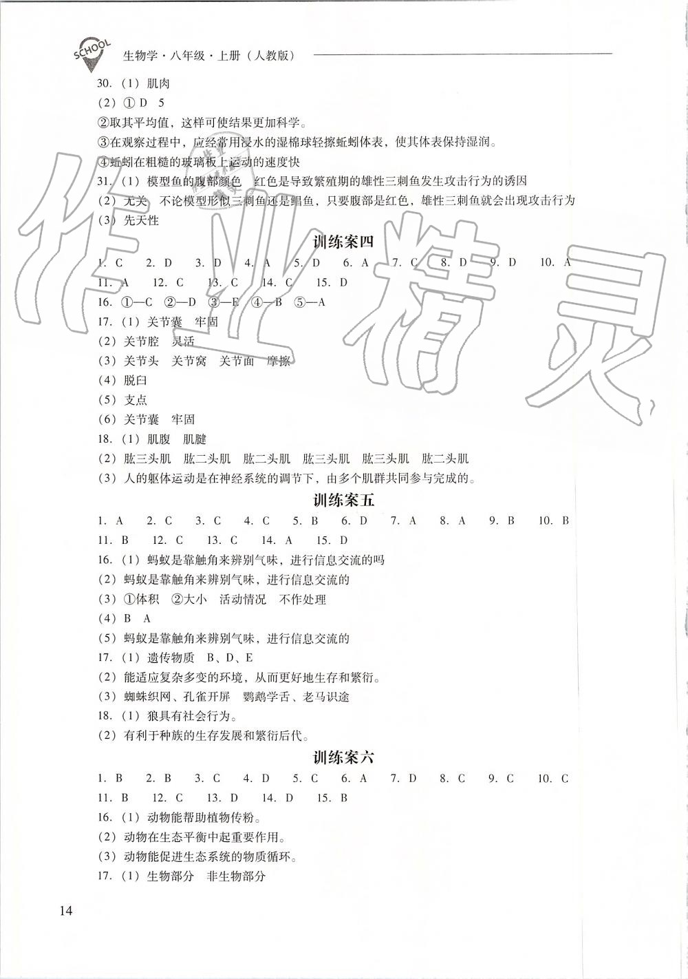 2019年新課程問題解決導(dǎo)學(xué)方案八年級生物學(xué)上冊人教版 第14頁