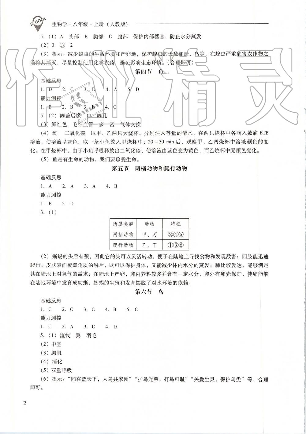 2019年新課程問題解決導學方案八年級生物學上冊人教版 第2頁