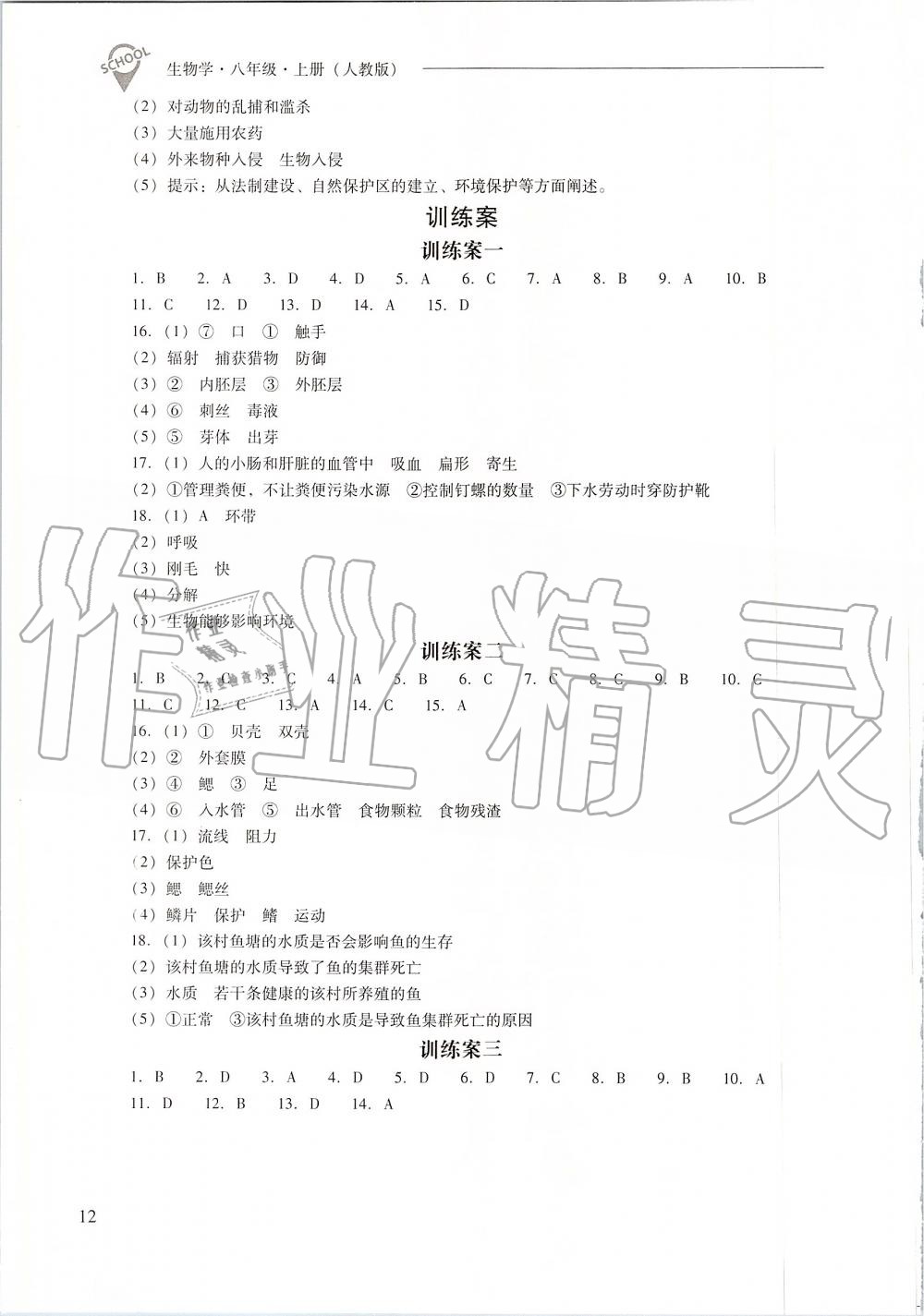 2019年新課程問題解決導(dǎo)學(xué)方案八年級(jí)生物學(xué)上冊(cè)人教版 第12頁(yè)