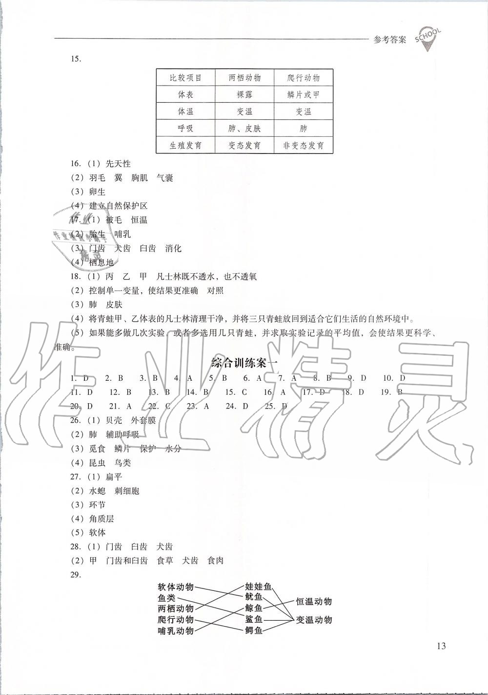 2019年新課程問題解決導(dǎo)學(xué)方案八年級生物學(xué)上冊人教版 第13頁