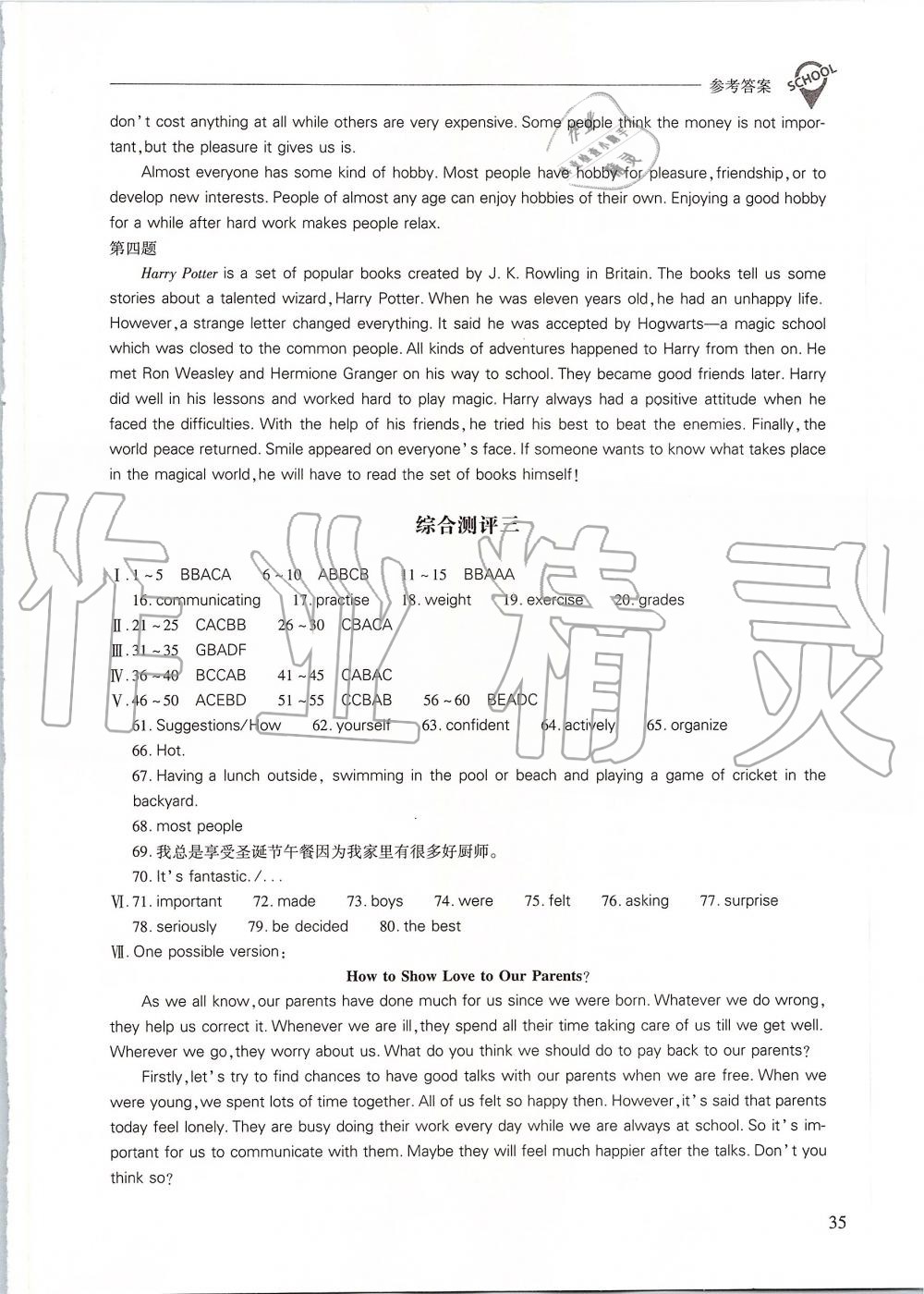 2019年新课程问题解决导学方案九年级英语全一册人教版 第35页